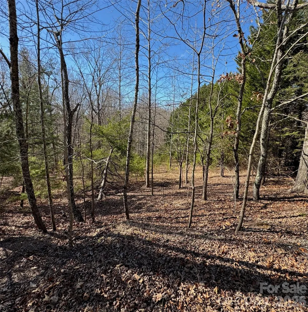 206 Westmoreland Trail #8 Tryon, NC 28782