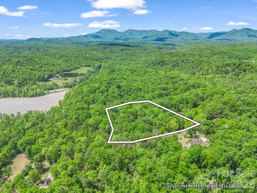 206 Westmoreland Trail #8 Tryon, NC 28782