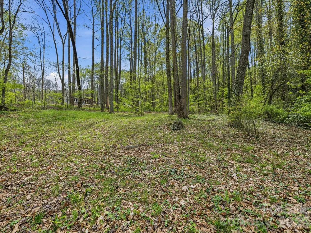 36 Dogwood Drive Maggie Valley, NC 28751
