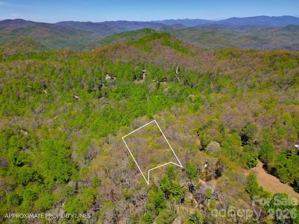 99999 Laurel Drive Black Mountain, NC 28711