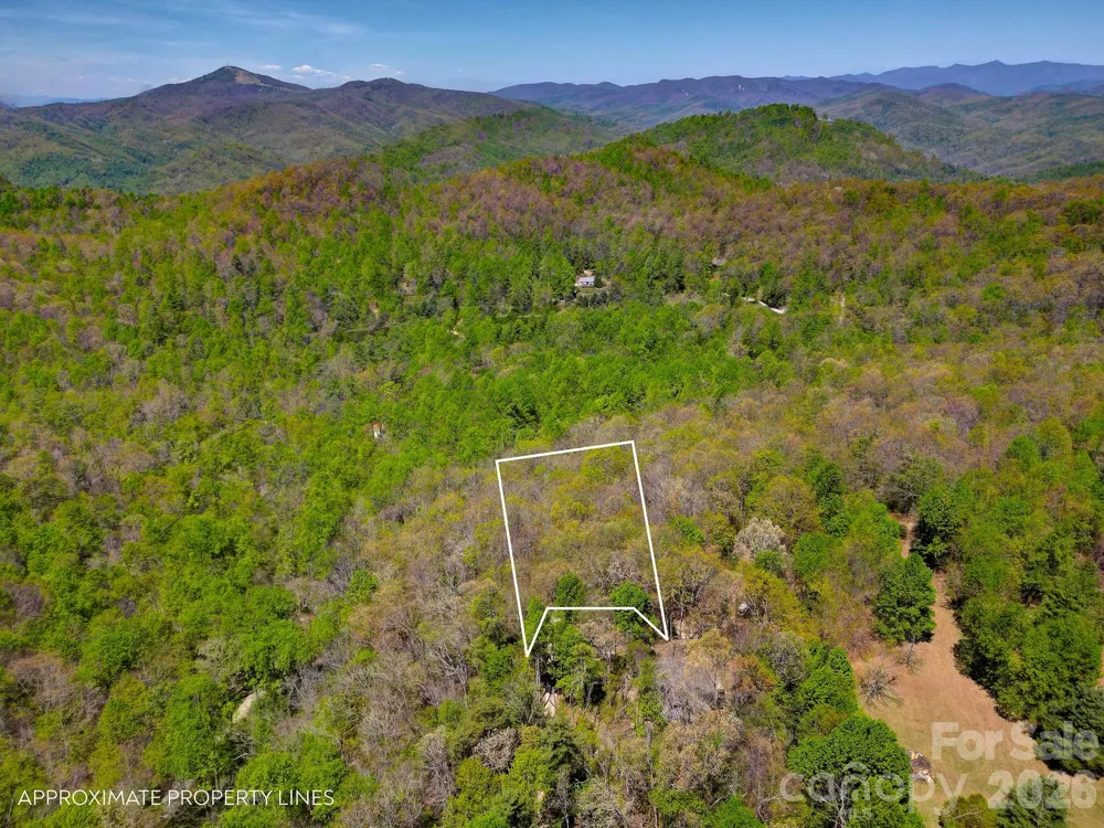 99999 Laurel Drive Black Mountain, NC 28711