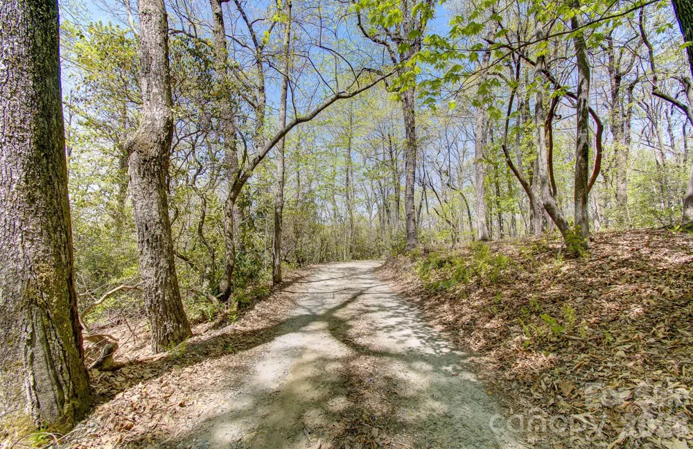 99999 Laurel Drive Black Mountain, NC 28711