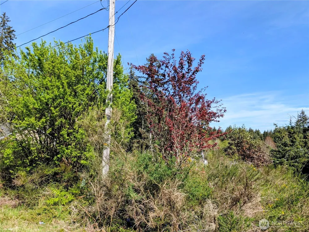 2501 195th Avenue SW Lakebay, WA 98349