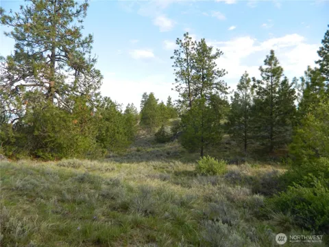 0 TBD Rehmke Road