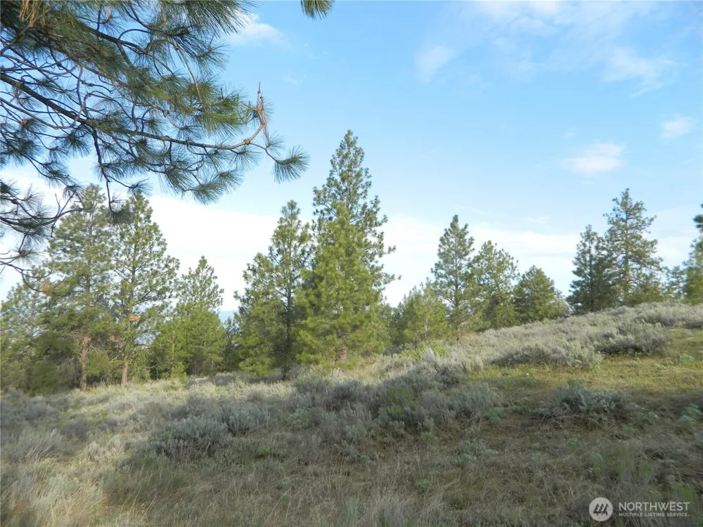 0 TBD Rehmke Road Tonasket, WA 98855