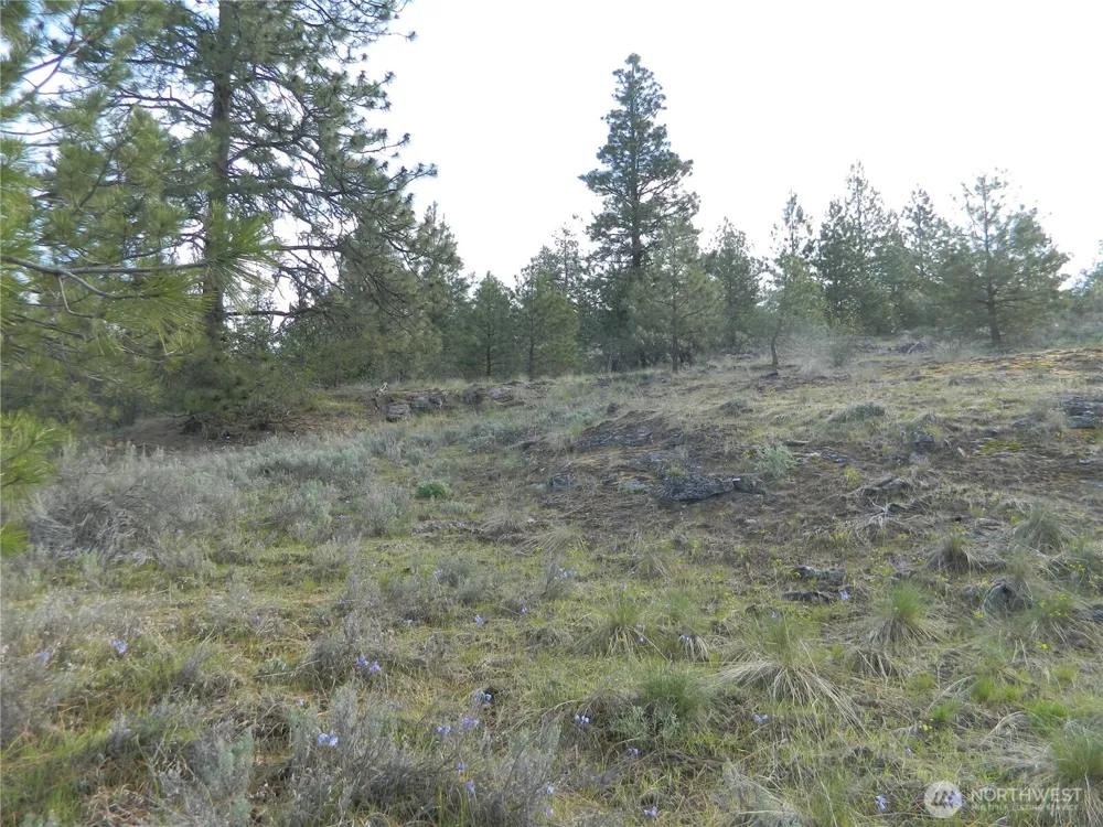 0 TBD Rehmke Road Tonasket, WA 98855