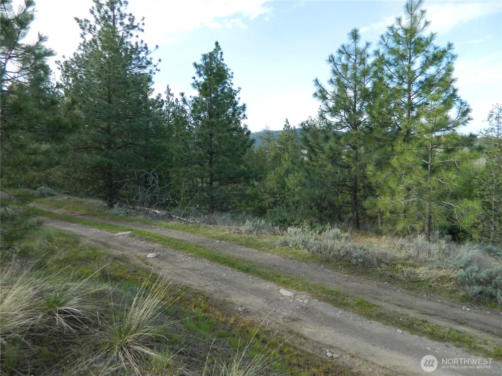 0 TBD Rehmke Road Tonasket, WA 98855