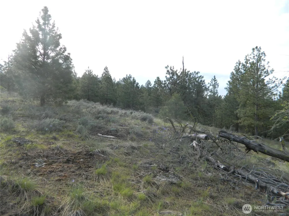 0 TBD Rehmke Road Tonasket, WA 98855