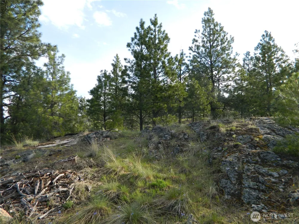 0 TBD Rehmke Road Tonasket, WA 98855