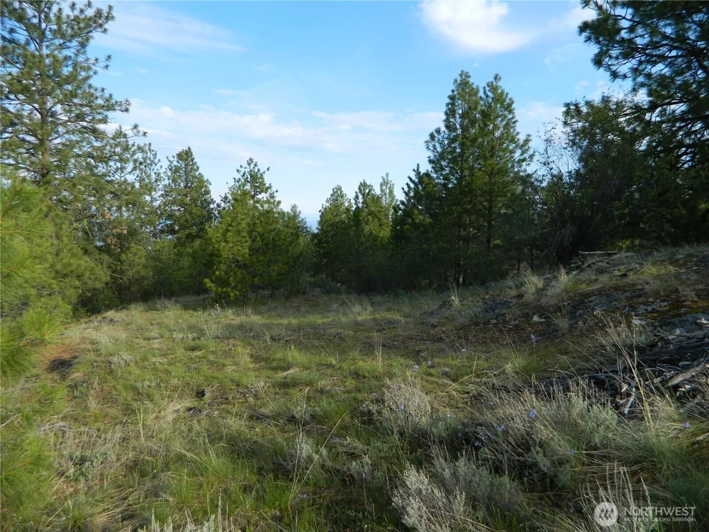0 TBD Rehmke Road Tonasket, WA 98855