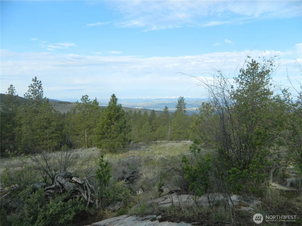 0 TBD Rehmke Road Tonasket, WA 98855
