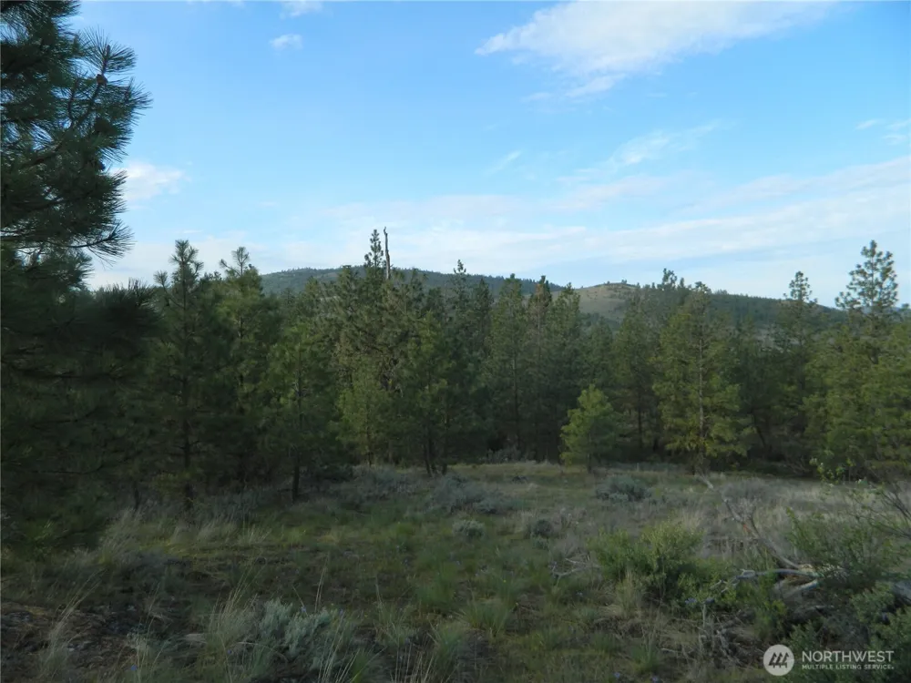 0 TBD Rehmke Road Tonasket, WA 98855