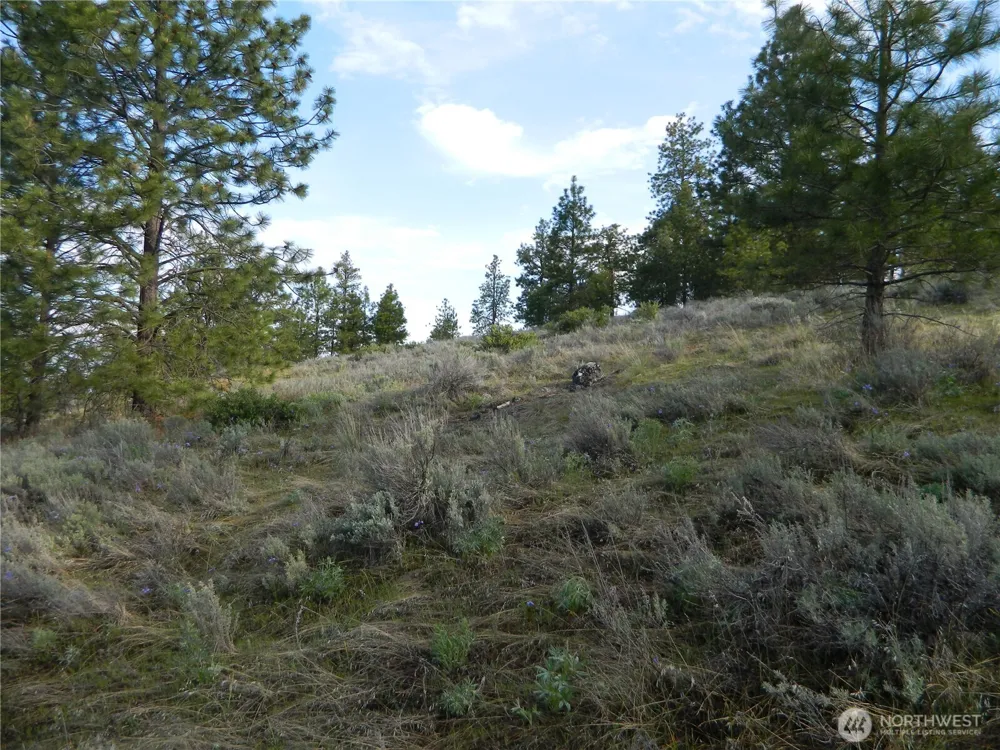 0 TBD Rehmke Road Tonasket, WA 98855