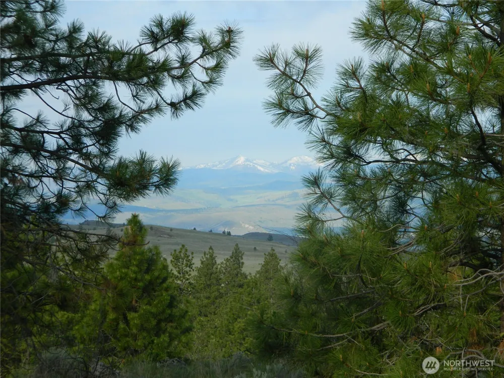 0 TBD Rehmke Road Tonasket, WA 98855