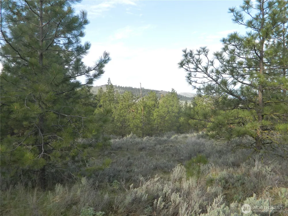 0 TBD Rehmke Road Tonasket, WA 98855