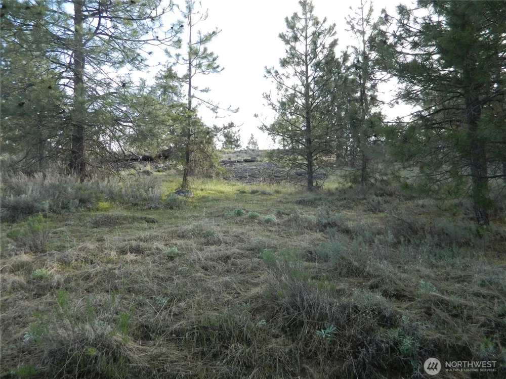 0 TBD Rehmke Road Tonasket, WA 98855