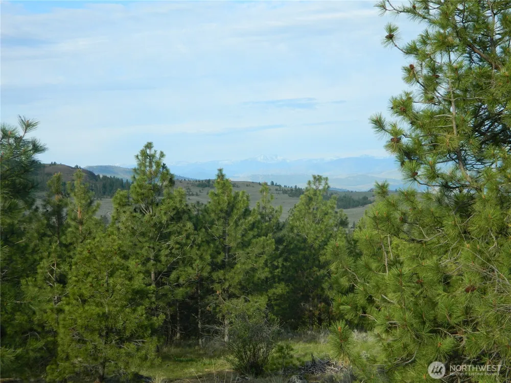 0 TBD Rehmke Road Tonasket, WA 98855