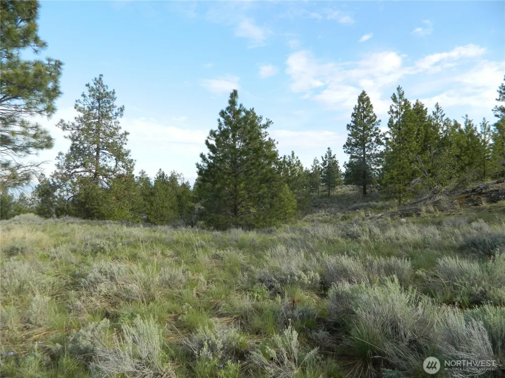 0 TBD Rehmke Road Tonasket, WA 98855