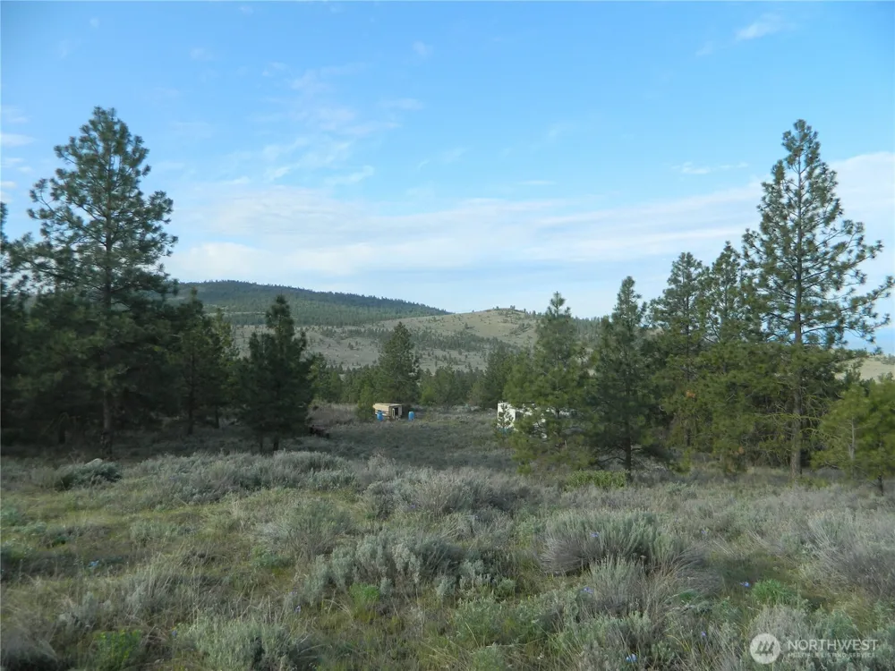 0 TBD Rehmke Road Tonasket, WA 98855