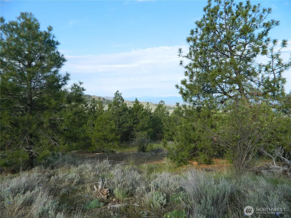 0 TBD Rehmke Road Tonasket, WA 98855