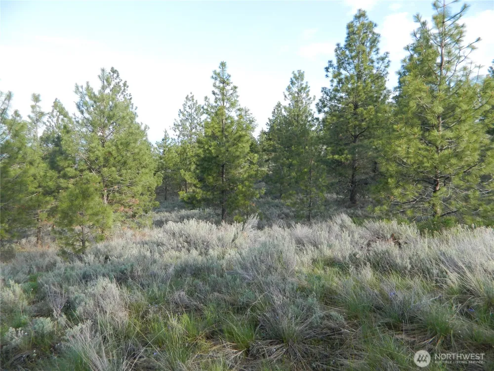 0 TBD Rehmke Road Tonasket, WA 98855