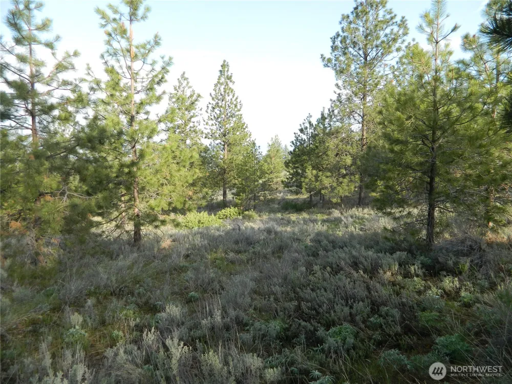 0 TBD Rehmke Road Tonasket, WA 98855