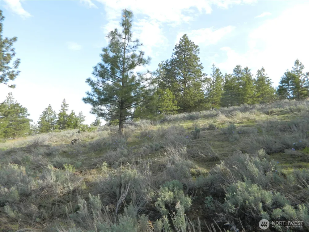 0 TBD Rehmke Road Tonasket, WA 98855