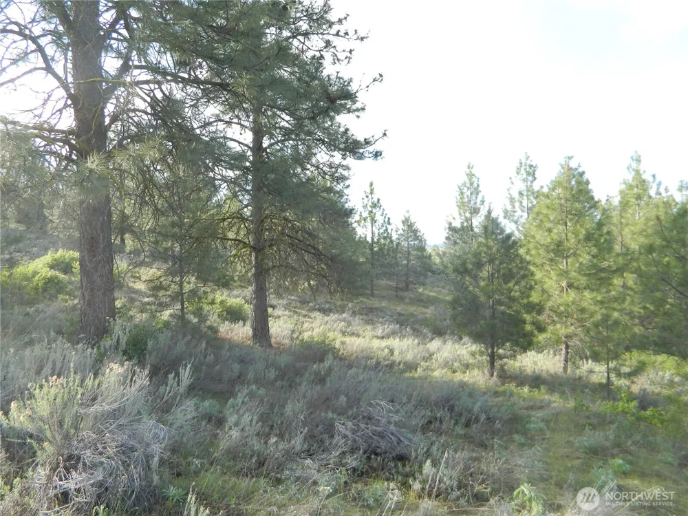 0 TBD Rehmke Road Tonasket, WA 98855