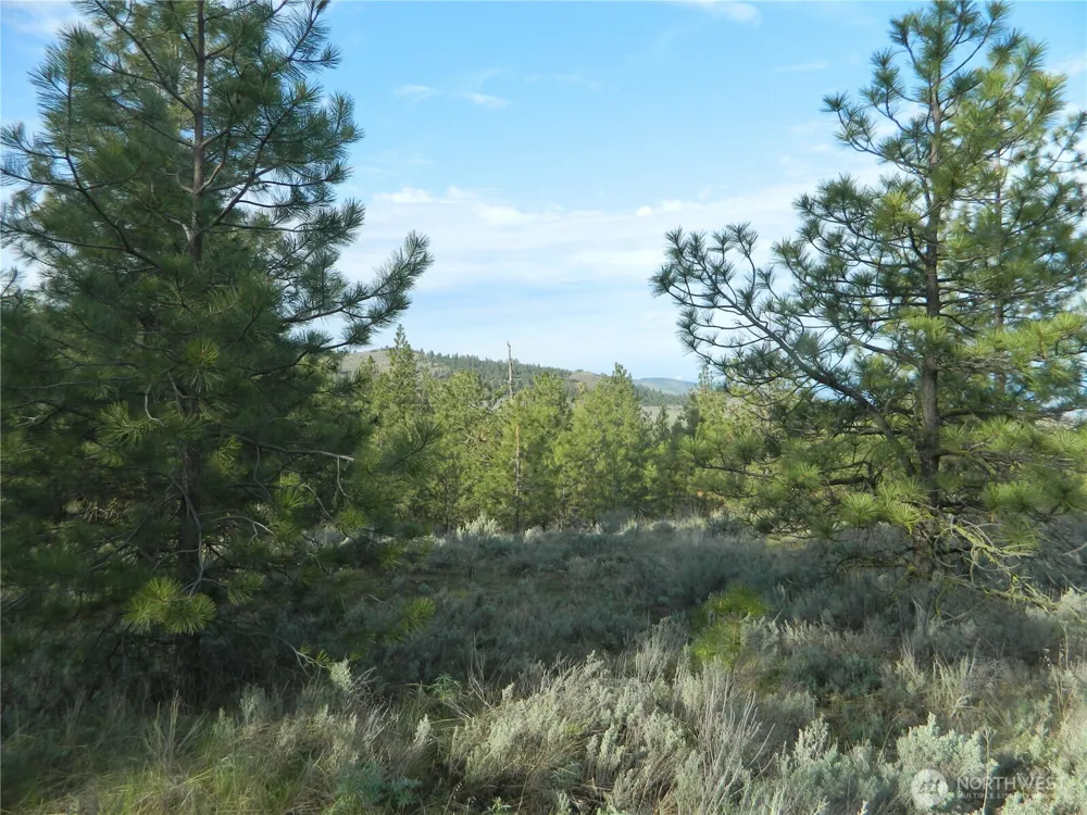 0 TBD Rehmke Road Tonasket, WA 98855