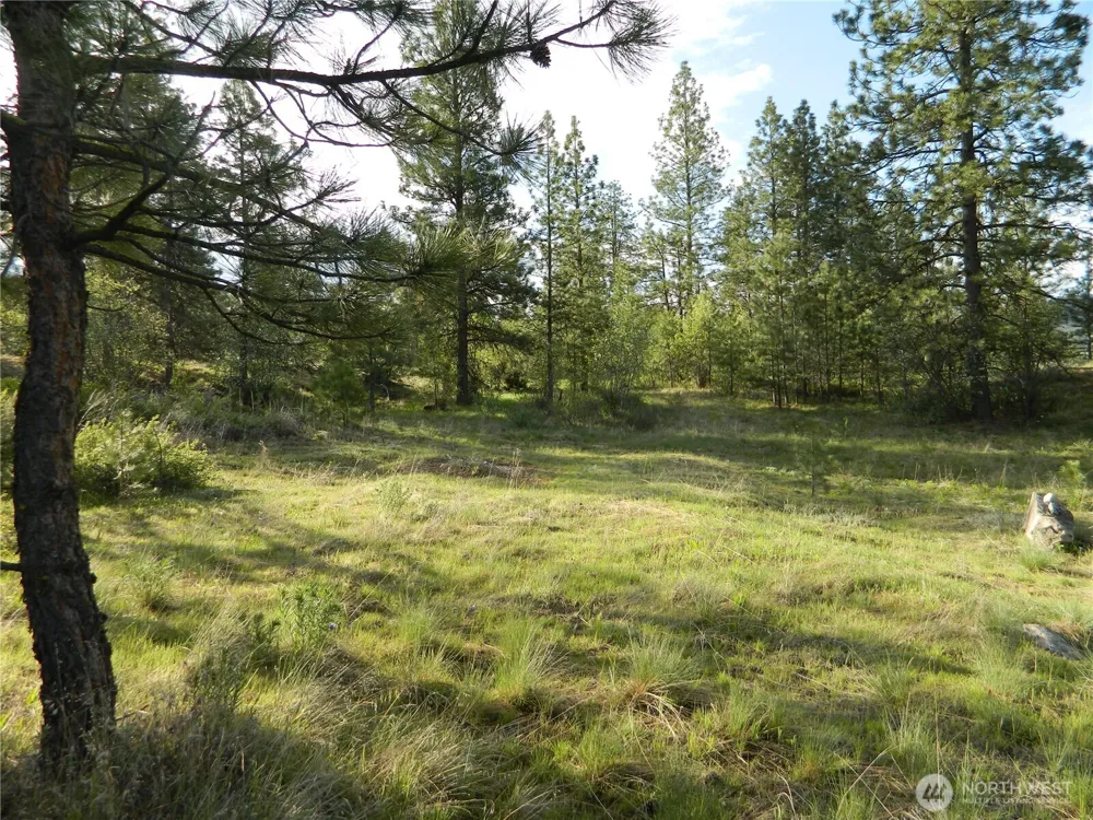 0 TBD Rehmke Road Tonasket, WA 98855