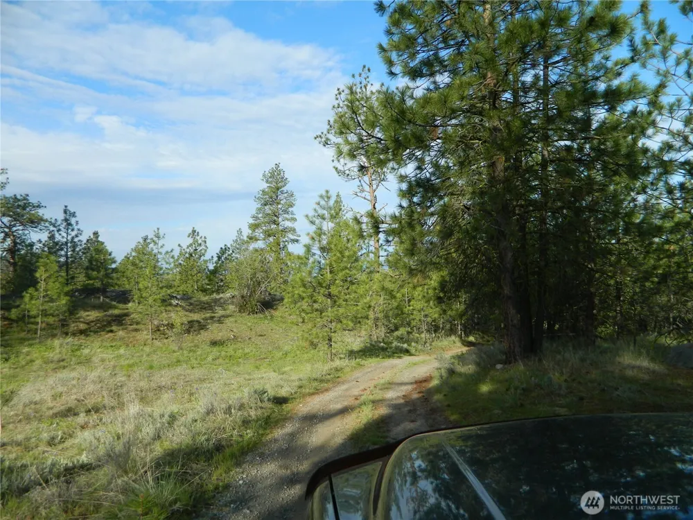 0 TBD Rehmke Road Tonasket, WA 98855