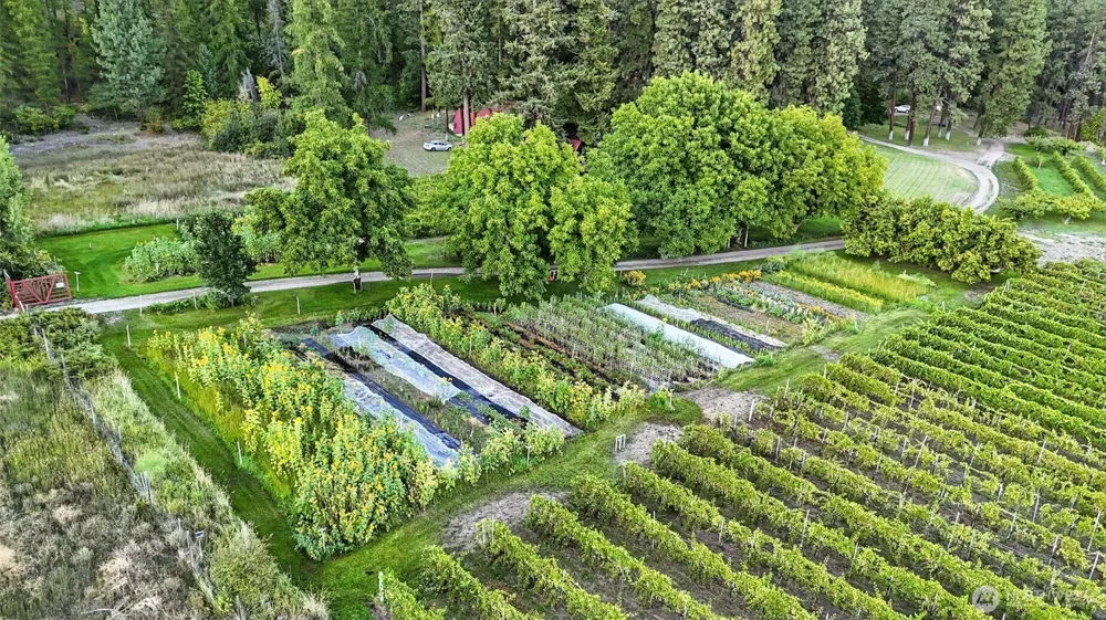 3725 Vineyard Way Kettle Falls, WA 99141