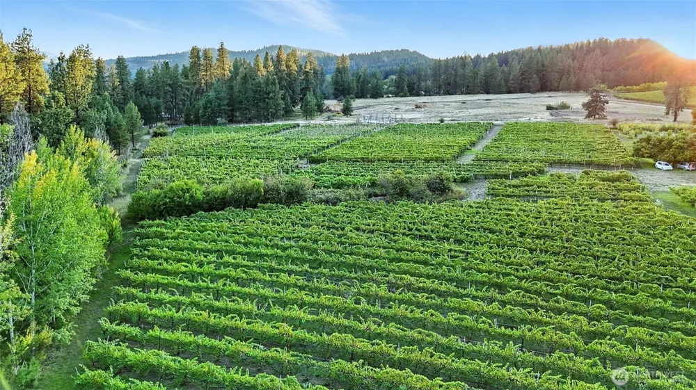 3725 Vineyard Way Kettle Falls, WA 99141