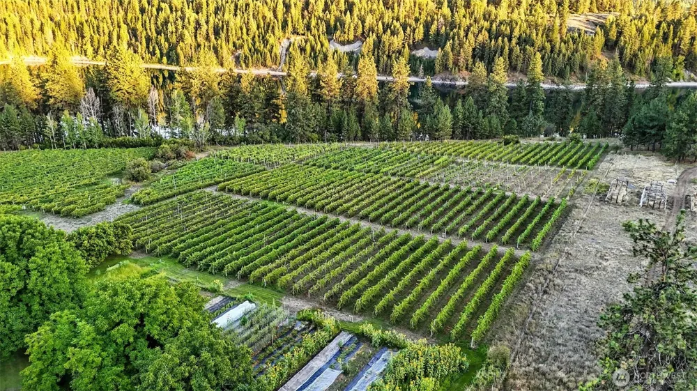 3725 Vineyard Way Kettle Falls, WA 99141