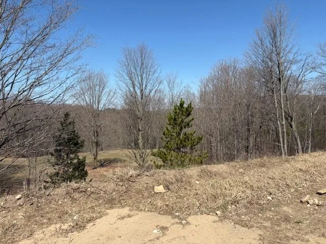 1690 Finch Drive Blair Township, MI 49685
