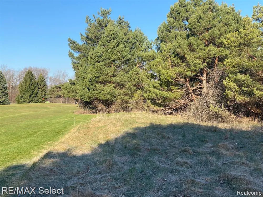 Weeden Road Indianfields Township, MI 48723