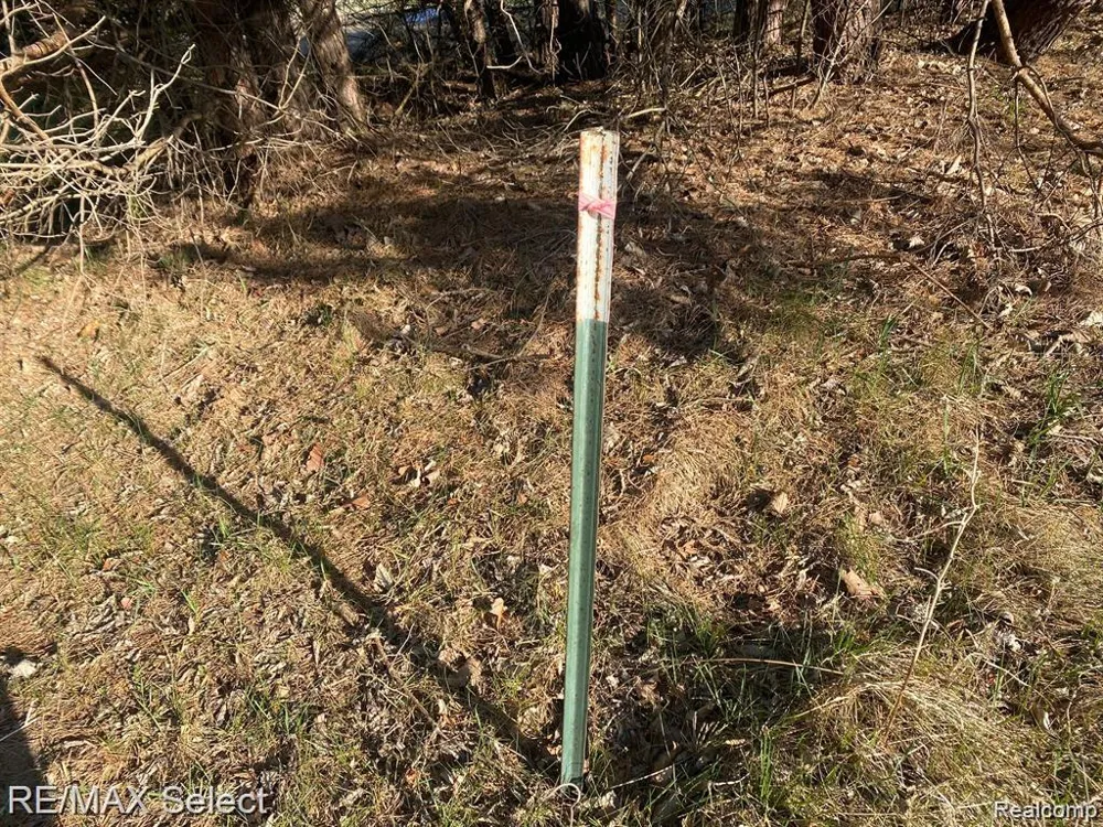 Weeden Road Indianfields Township, MI 48723