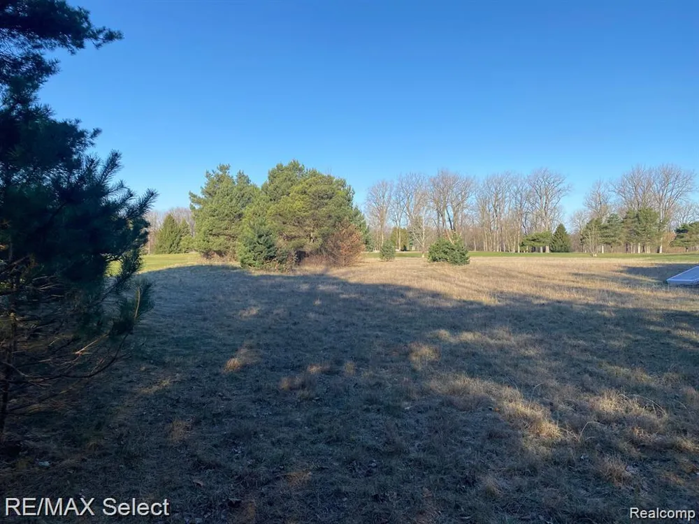 Weeden Road Indianfields Township, MI 48723