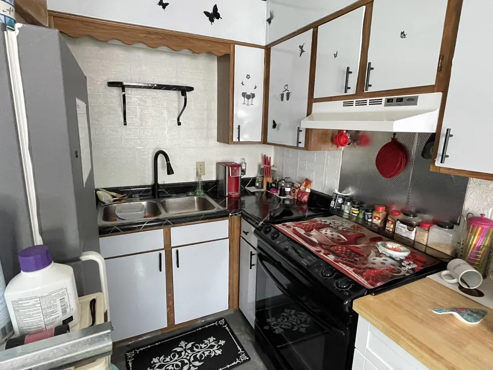 3557 Coveview Drive Hill Township, MI 48635
