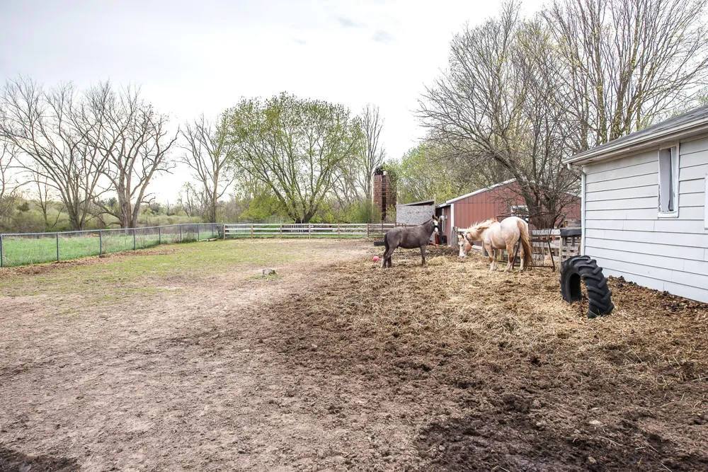 8415 Huron River Drive Webster Township, MI 48130