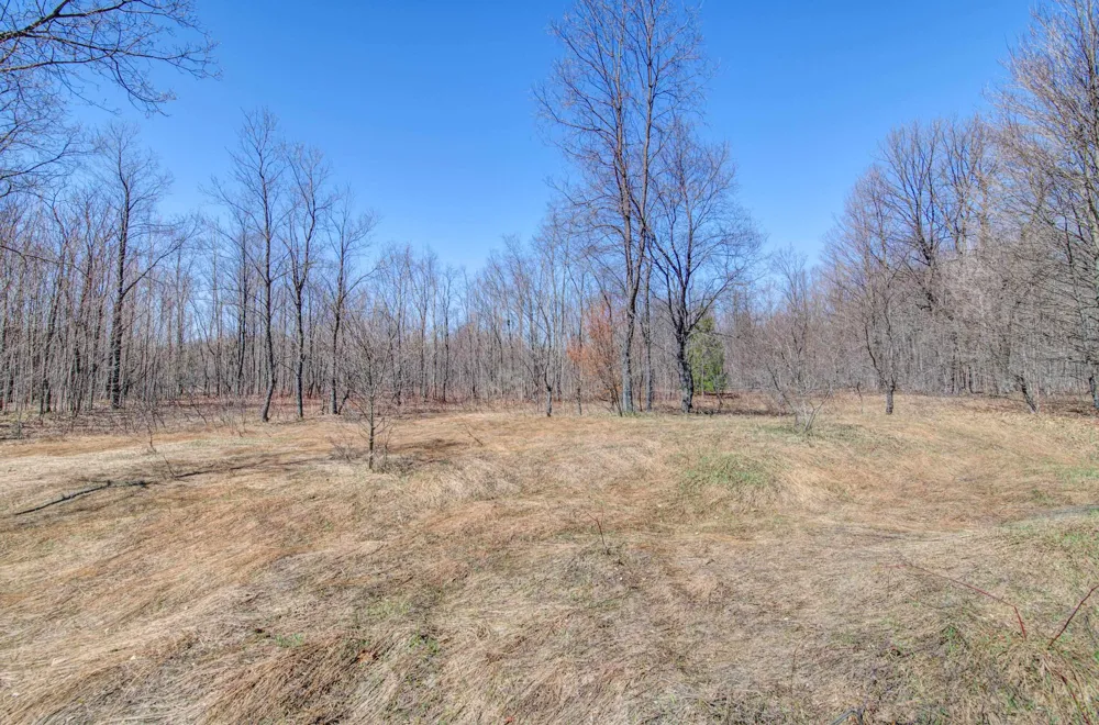 171 NE Kleehammer Club Drive Excelsior Township, MI 49646