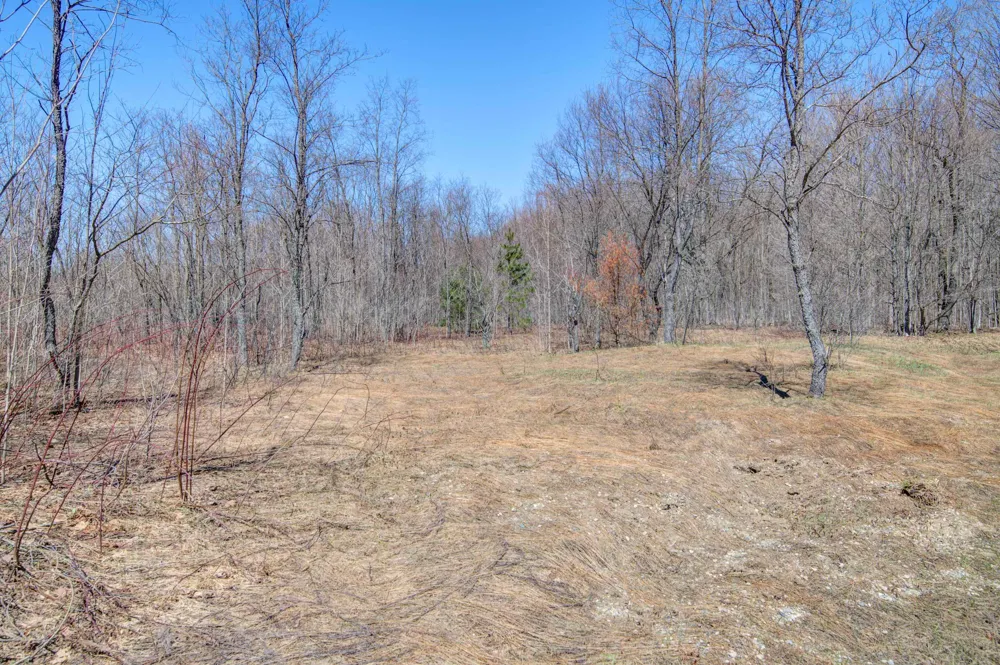 171 NE Kleehammer Club Drive Excelsior Township, MI 49646