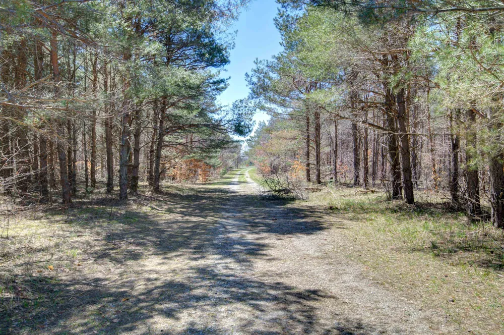 171 NE Kleehammer Club Drive Excelsior Township, MI 49646