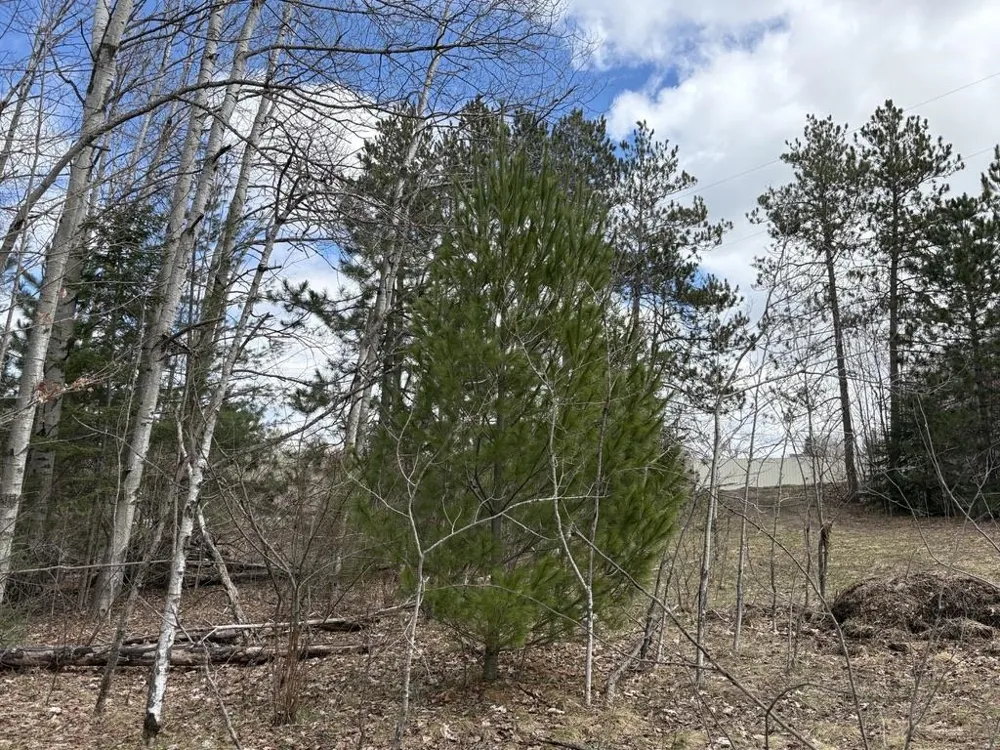 2450 Marshall Road Benzonia Township, MI 49640