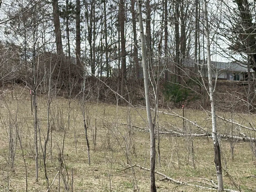 2450 Marshall Road Benzonia Township, MI 49640