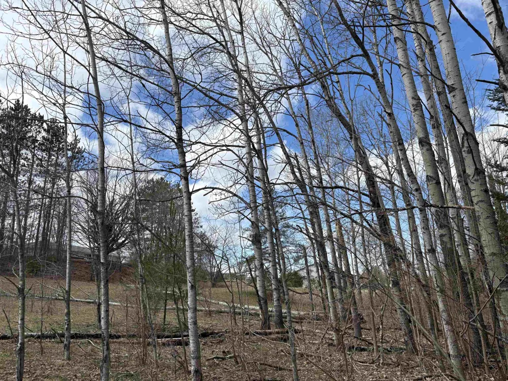 2450 Marshall Road Benzonia Township, MI 49640