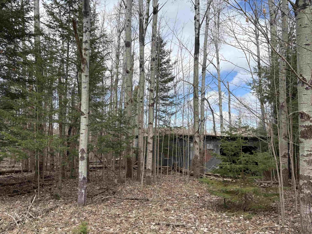2450 Marshall Road Benzonia Township, MI 49640