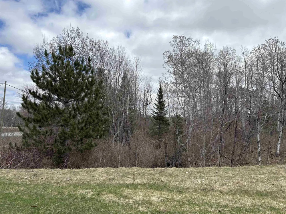 2450 Marshall Road Benzonia Township, MI 49640