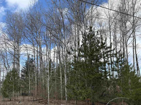 2450 Marshall Road