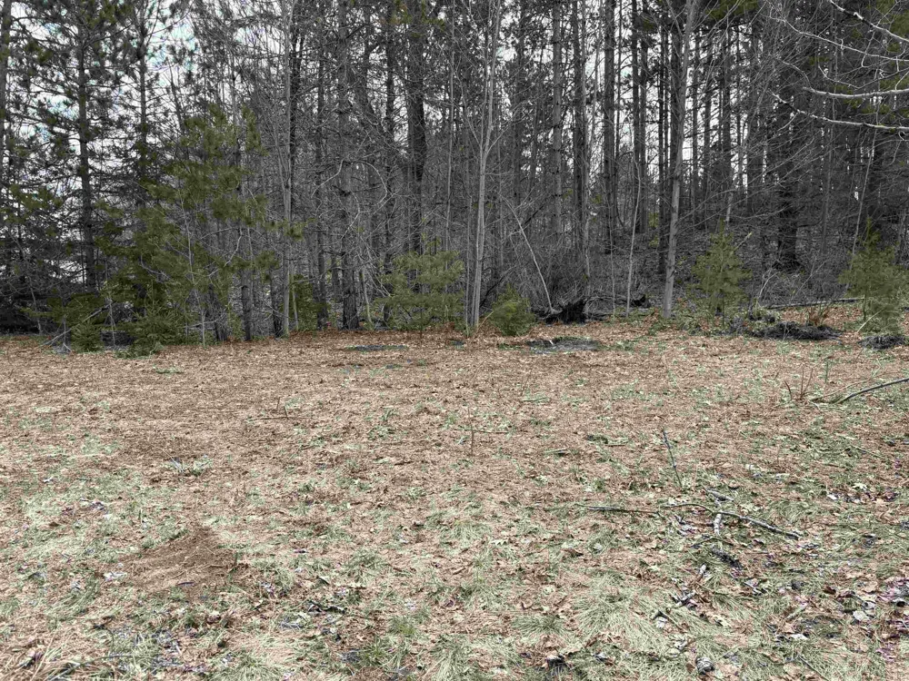 2450 Marshall Road Benzonia Township, MI 49640